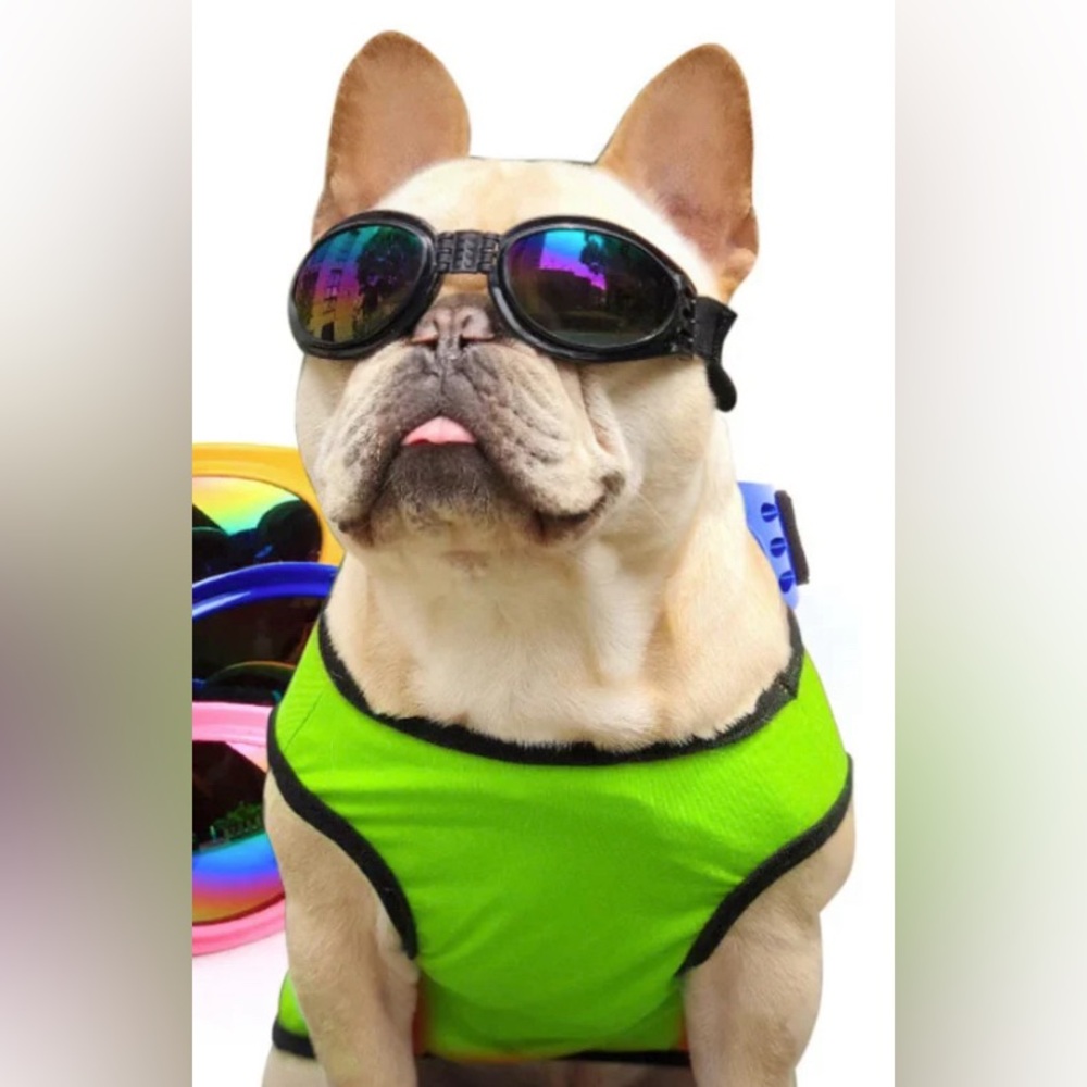 Pet goggles sun protection